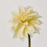 Close-up of bloom tips on this Ivory Dahlia Bloom Single Faux Floral Stem Spray