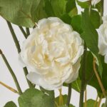 Close-up of bloom tips on this White Silk Ranunculus Blooms 5 Faux Floral Bouquet