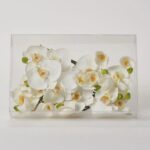 Real Touch White Orchid Phalaenopsis Spray Box of 12 Individual Bloom and Bud Picks