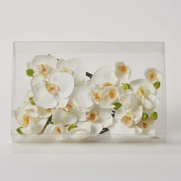 Real Touch White Orchid Phalaenopsis Spray Box of 12 Individual Bloom and Bud Picks
