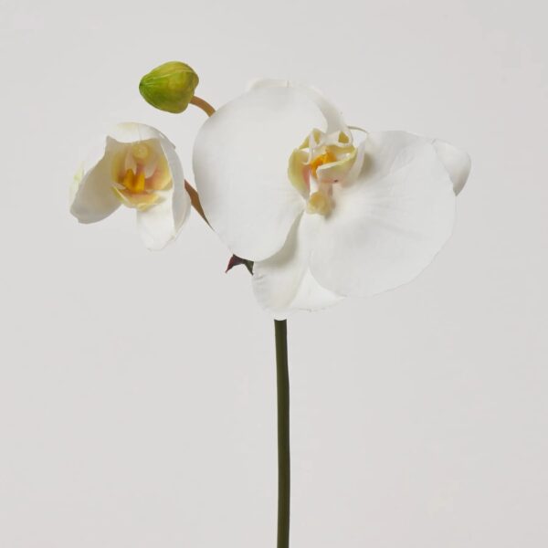 Close-up of bloom tips on this Real Touch White Orchid Phalaenopsis Bud Picks faux flower
