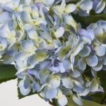 Close-up of bloom tips on this Light Blue Silk Hydrangea Blooms Bush Stem Bouquet