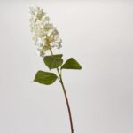 Close-up of bloom tips on this Real Touch White Peegee Hydrangea Long Stem Spray