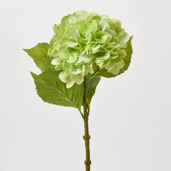 Close-up of bloom tips on this Real Touch Lime Green Hydrangea Single Stem Spray