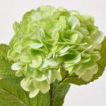 Alternate angle of the Real Touch Lime Green Hydrangea Single Stem Spray showing leaves along