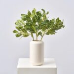Variegated Green Pittosporum Branch Spray Faux All Seasons Real Touch Greenery Foliage - 22 inch