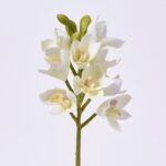 Blooming Real Touch White Orchid Cymbidium Spray Single Stem Faux Floral - 19 inch