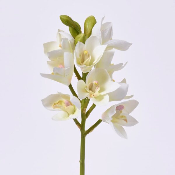 Blooming Real Touch White Orchid Cymbidium Spray Single Stem Faux Floral - 19 inch