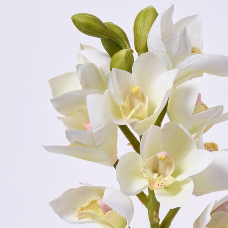Close-up of bloom tips on this Blooming Real Touch White Orchid Spray Single Stem