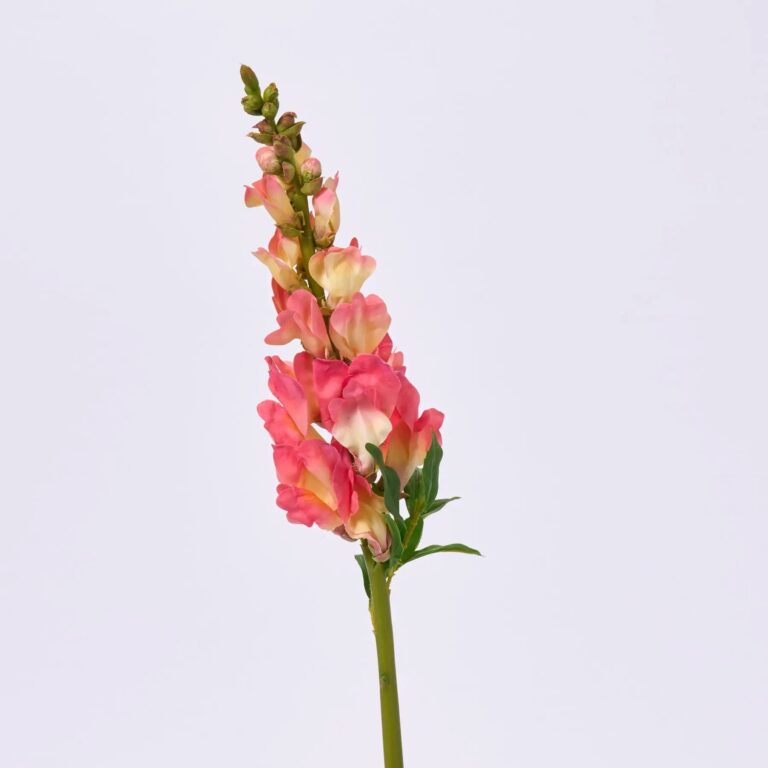 Real Touch Tropical Punch Snapdragon Spray Single Stem Faux Floral - 23 inch