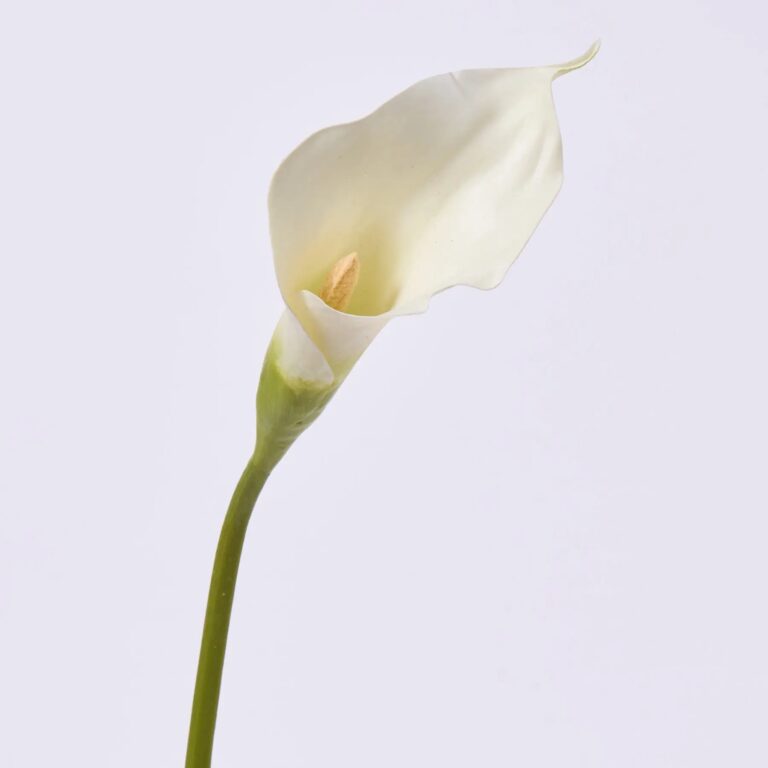 Elegant White Real Touch Calla Lily Bloom Single Stem Faux Floral Spray - 21 inch