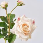 Alternate angle of the Real Touch Light Pink Sweet Faux Floral Spray showing leaves along