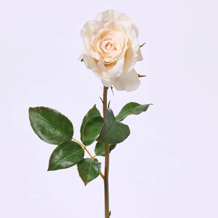 Real Touch Beige Open Dutchess Rose Bloom Single Short Faux Floral Spray - 20 inch