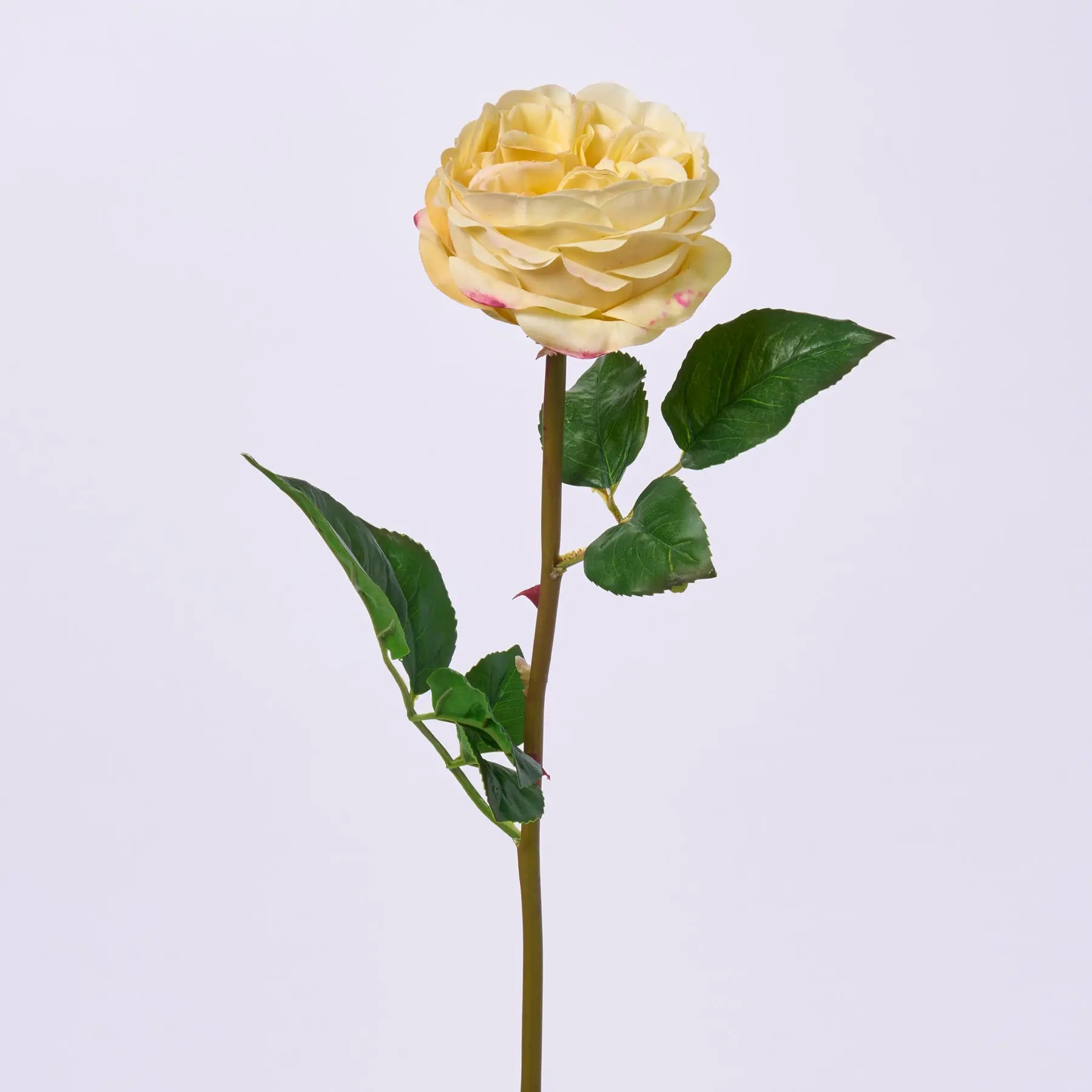 FLWSTM2873RealTouchYellowEnglishRoseBloomSingleStem.jpg Real Touch Pastel Yellow English Rose Bloom Single Stem Faux Floral Spray - 22 inch