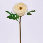Real Touch Cream Single Peony Bloom Faux Floral Stem Spray - 22 inch