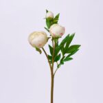 Real Touch Blooming Cream Peony Bud Branch Spray - 25 inch