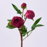 Real Touch Blooming Dark Beauty Peony Bud Branch Spray - 25 inch