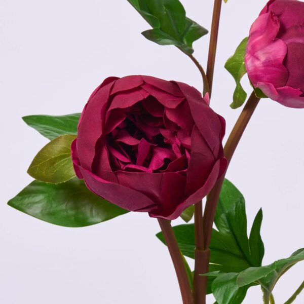 Close-up of bloom tips on this Real Touch Blooming Dark Beauty Bud Branch Spray