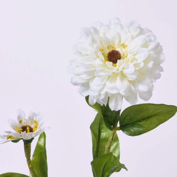 Close-up of bloom tips on this White Garden Zinnia Bloom Floral Stem Spray