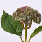 Close-up of bloom tips on this Sage Green Sedum Ball Faux Foliage Spray