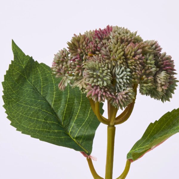 Close-up of bloom tips on this Sage Green Sedum Ball Faux Foliage Spray