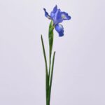 Dark Blue Silk German Iris Bloom Faux Floral Spray - 30 inch - Dark Periwinkle