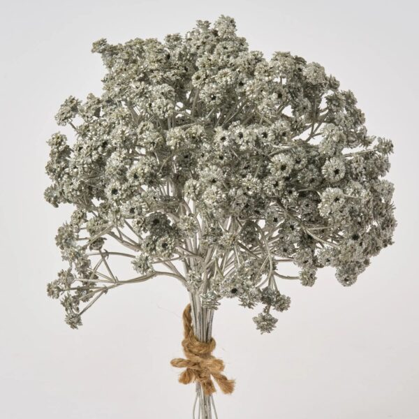 Silver Glitter Baby's Breath Gypsophila Bush Pick Bundle of 9 Stems - 10 inch