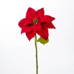 Red Velvet Christmas Poinsettia Bloom Single Stem Holiday Spray - 24 inch