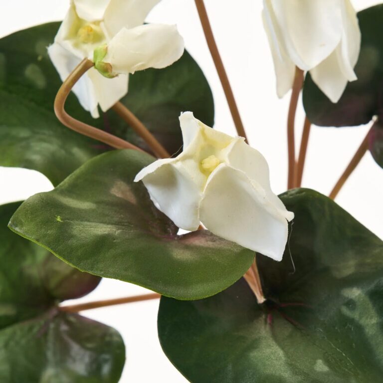 Close-up of bloom tips on this White Silk Cyclamen Bouquet 12 Stems - 14