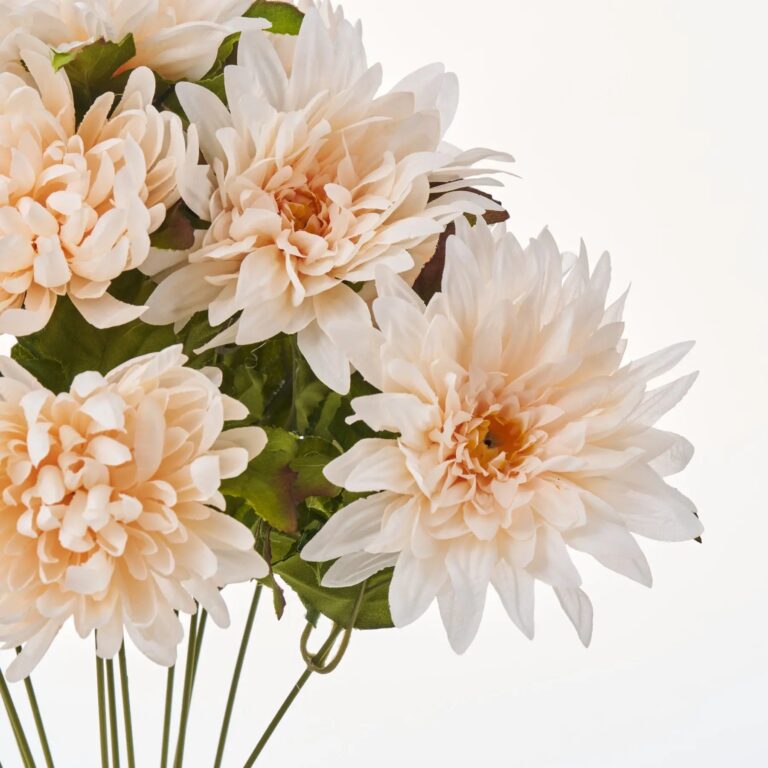 Close-up of bloom tips on this Sweet Cream Autumn Chrysanthemum Blooms Bush Bouquet