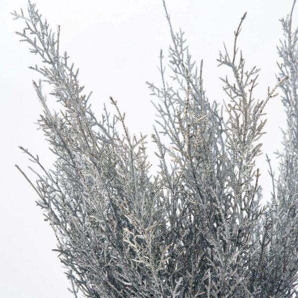 Close-up of bloom tips on this Silver Glitter Cypress Branch Spray - 23 inch