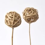 Close-up of bloom tips on this Natural Rattan Ball on Wood Wood Pick