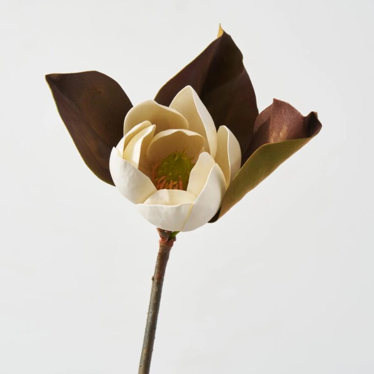 Real Touch Fall Brown Small Magnolia Bloom 24 inch Single Stem or Bundle of 3