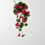 Real Touch Hot Pink Hanging Geranium Blush Faux Floral Spray - 36 inch