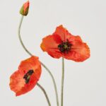 Close-up of bloom tips on this Orange Poppy Bloom and Bud Floral Stem Spray