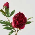 Close-up of bloom tips on this Real Touch Red Cerise Peony Floral Branch Stem