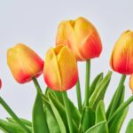 Close-up of bloom tips on this Real Touch Orange Ombre Faux 9 Stems faux flower
