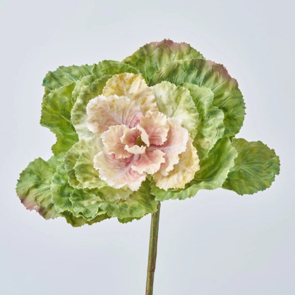 Blush Green Faux Ornamental Cabbage Blossom Stem Pick - 10 inch - Blush Green