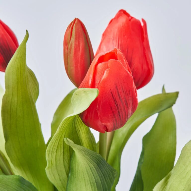 Close-up of bloom tips on this Real Touch Red Faux Tulip 7 Stems faux flower