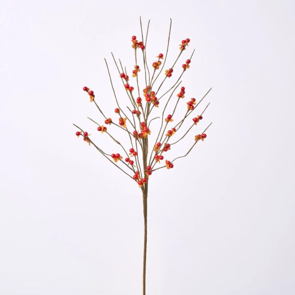 Orange and Red Bittersweet Berry Twig Branch Stem Spray - 27 inch