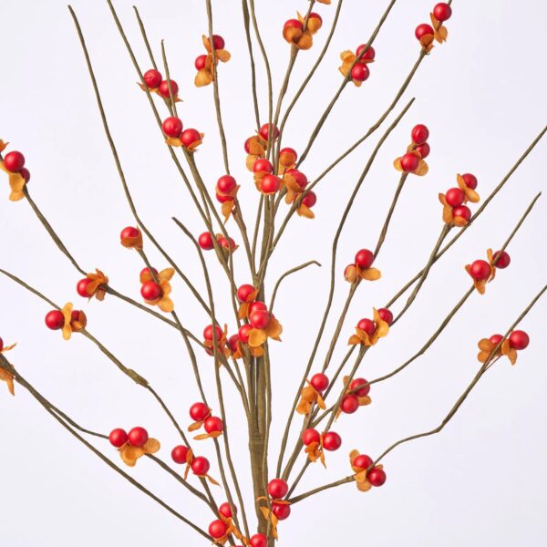 Close-up of bloom tips on this Orange and Red Bittersweet Berry Branch Stem Spray