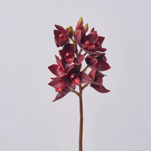 Blooming Real Touch Burgundy Orchid Cymbidium Spray Single Stem Faux Floral - 19 inch