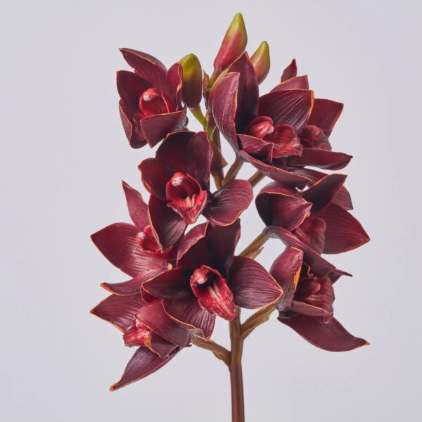 Close-up of bloom tips on this Blooming Real Touch Burgundy Orchid Spray Single Stem