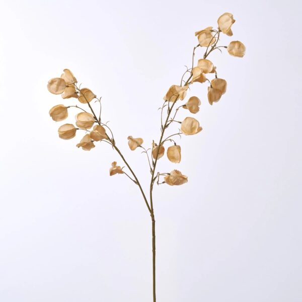 Close-up of bloom tips on this Beige Chinese Lanterns Tree Branch Floral Stem Spray