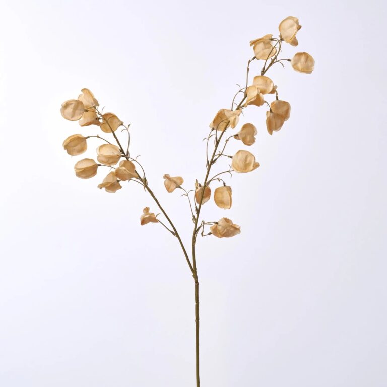 Close-up of bloom tips on this Beige Chinese Lanterns Tree Branch Floral Stem Spray