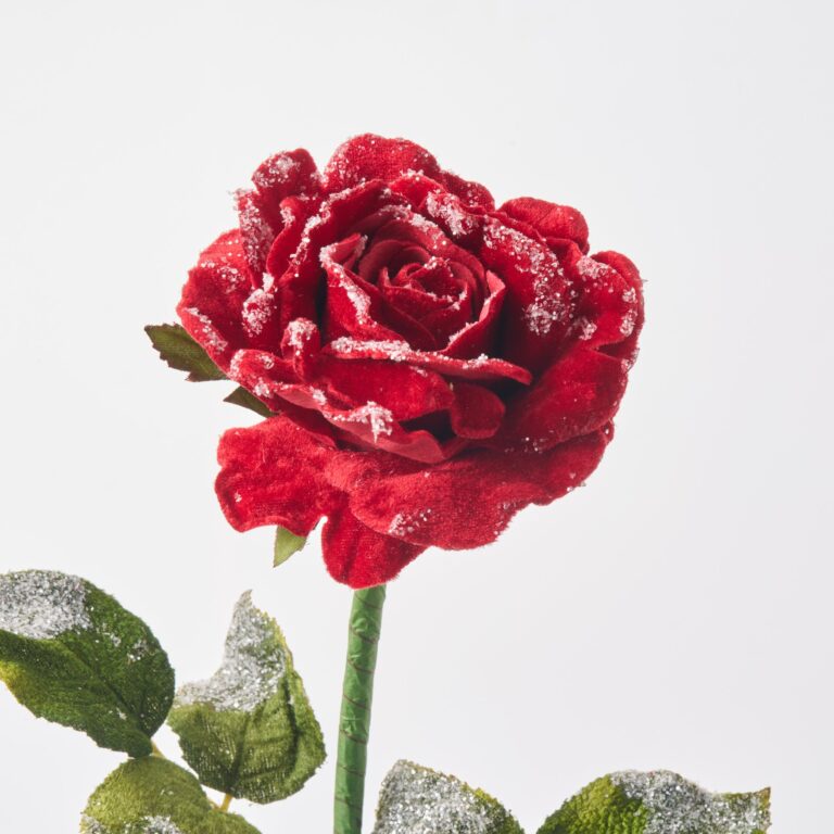 Close-up of bloom tips on this Snowy Glittered Edge Velvet Red Winter Holiday Stem