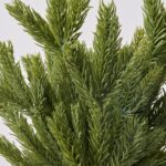 Close-up of bloom tips on this Real Touch Wintergreen Fraser Fir 4 Stems faux flower