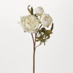 Real Touch Blooming White Peony Stem Dried Look Faux Floral Spray - 25 inch