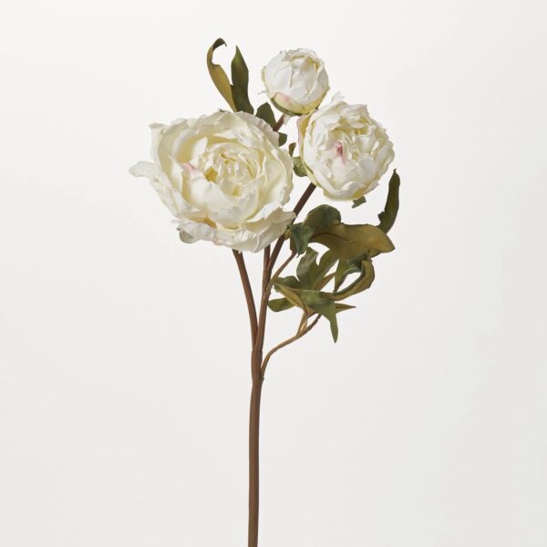 Real Touch Blooming White Peony Stem Dried Look Faux Floral Spray - 25 inch