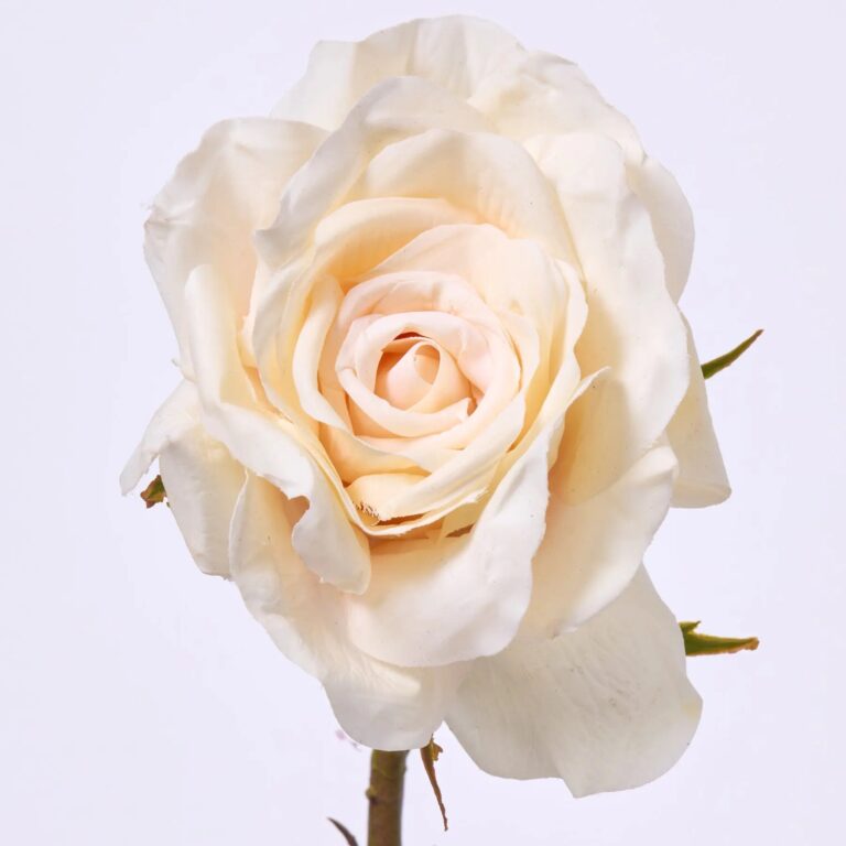 Close-up of bloom tips on this Real Touch Beige Open Dutchess Faux Floral Spray